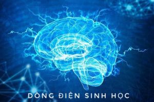Điện Sinh Học là Gì? Ứng Dụng chữa bệnh bằng Điện Sinh Học?