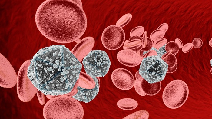 Tỷ lệ virus có trong máu cao làm tăng nguy cơ lây lan